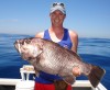 Another Mandurah Dhufish